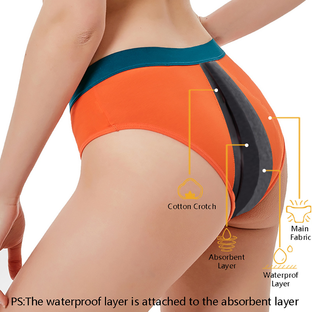 女性用生理用ショーツ 生理漏れ防止 多い日用 吸収力抜群 漏 - Period Panty Absorbent のレビューと価格
